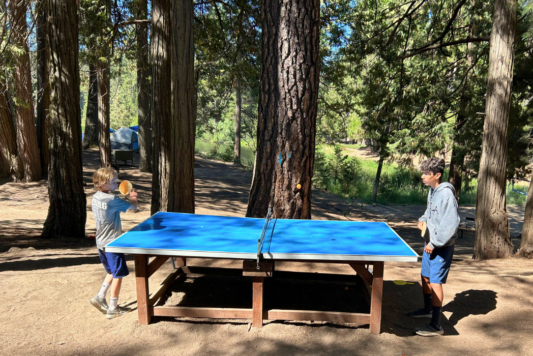 Tulequoia Games Area 2