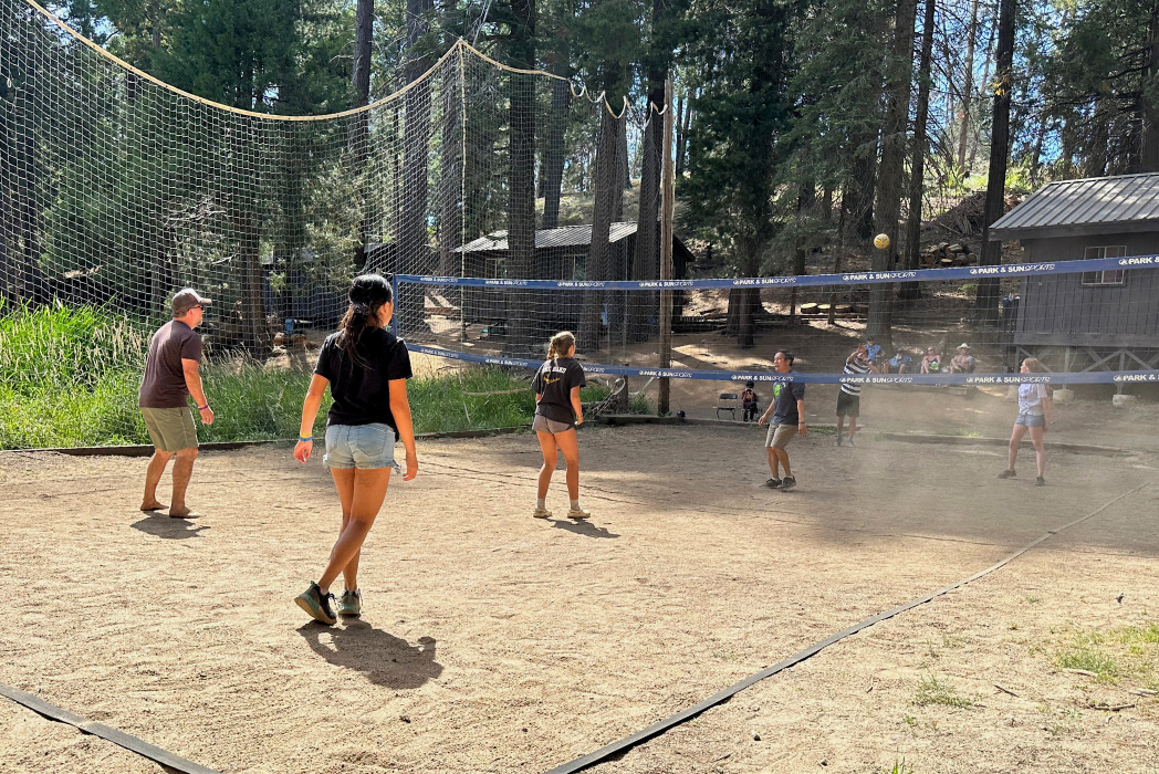 Tulequoia Games Area 3