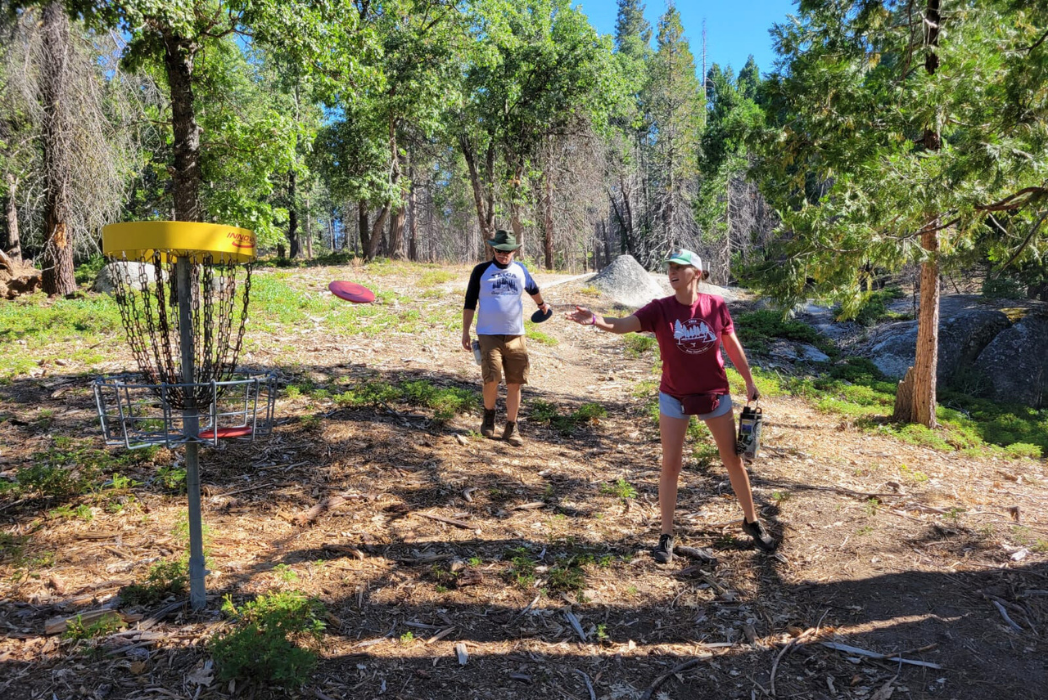 Tulequoia Games Area 4