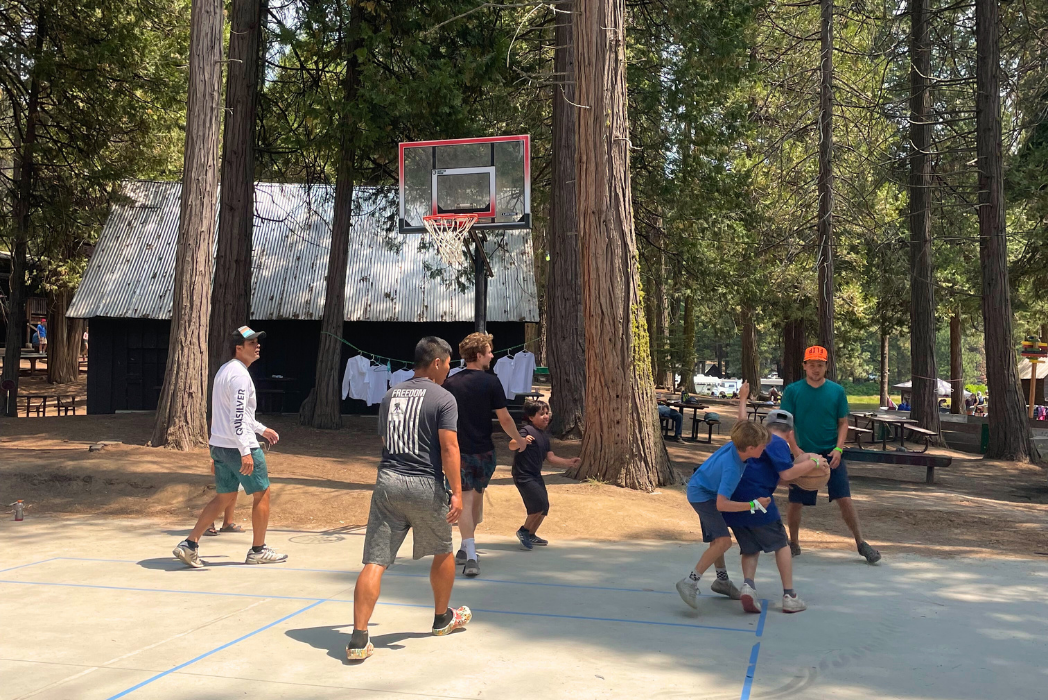 Tulequoia Games Area 5