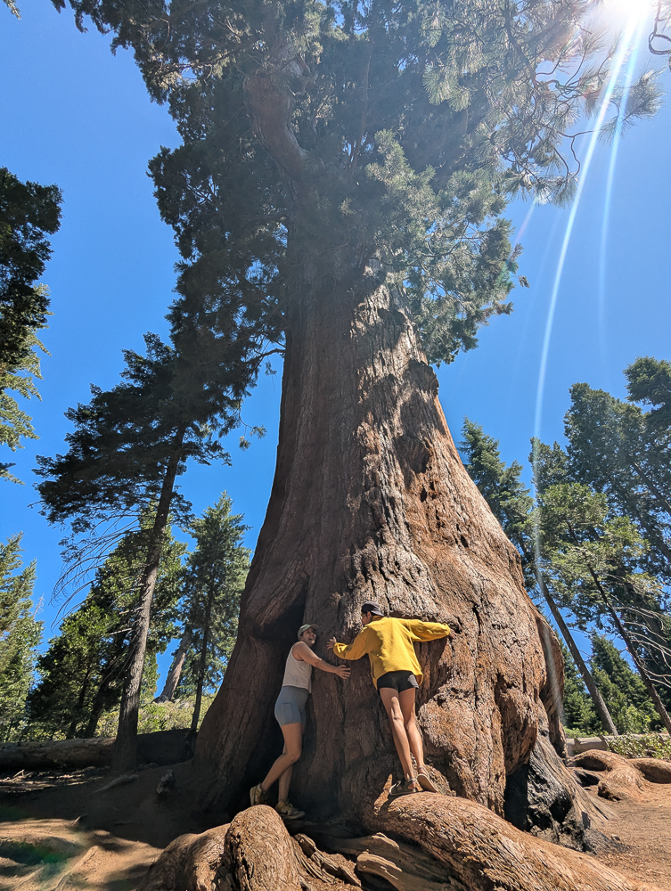 2026_COMMUNITY_CAMPS_GALLERY-44