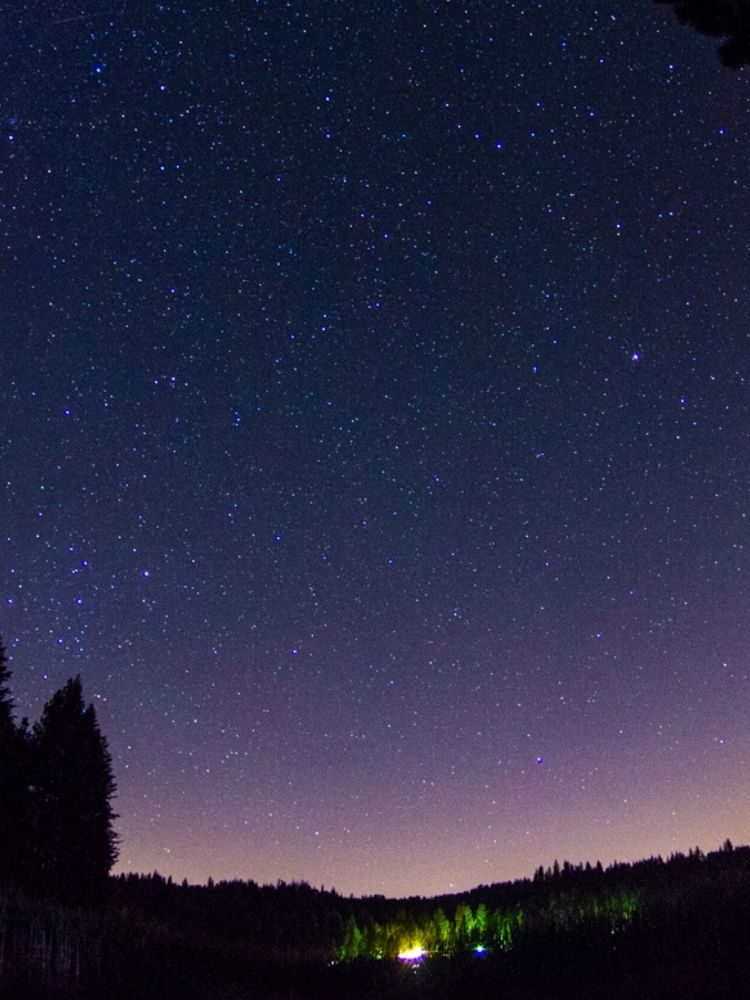 Stargazing at YMCA Camp Sequoia Lake