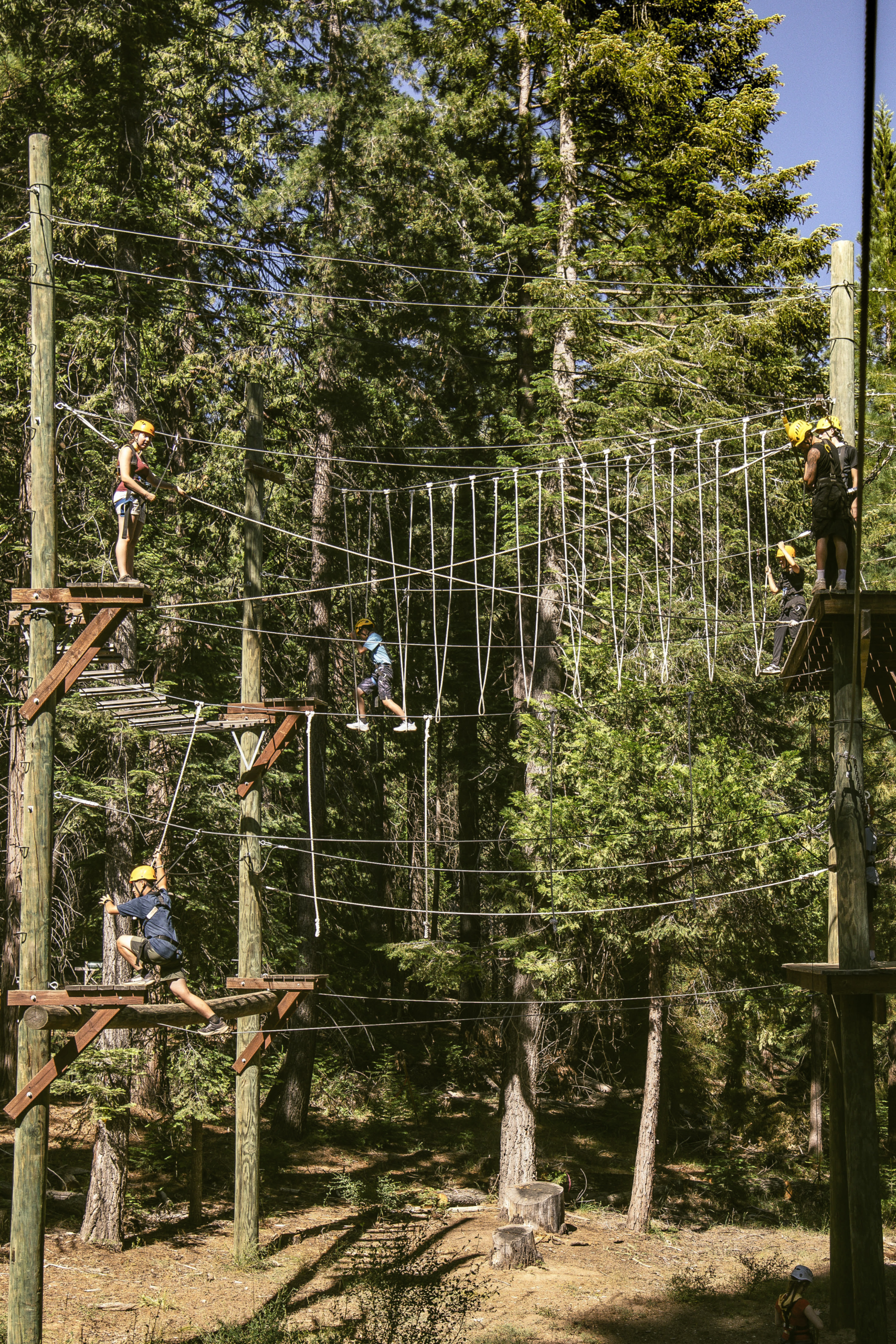 Teen Camp - High Ropes